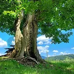 Apartman Hiska Tilia