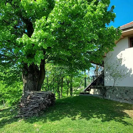 Hiska Tilia Apartment