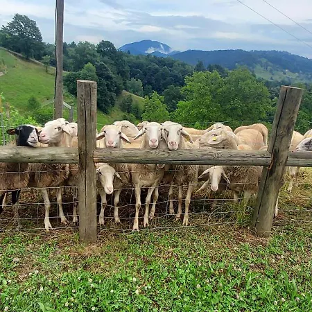 Apartman Hiska Tilia *