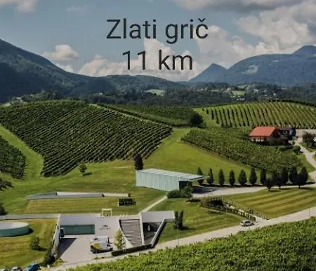 Apartament Hiska Tilia *